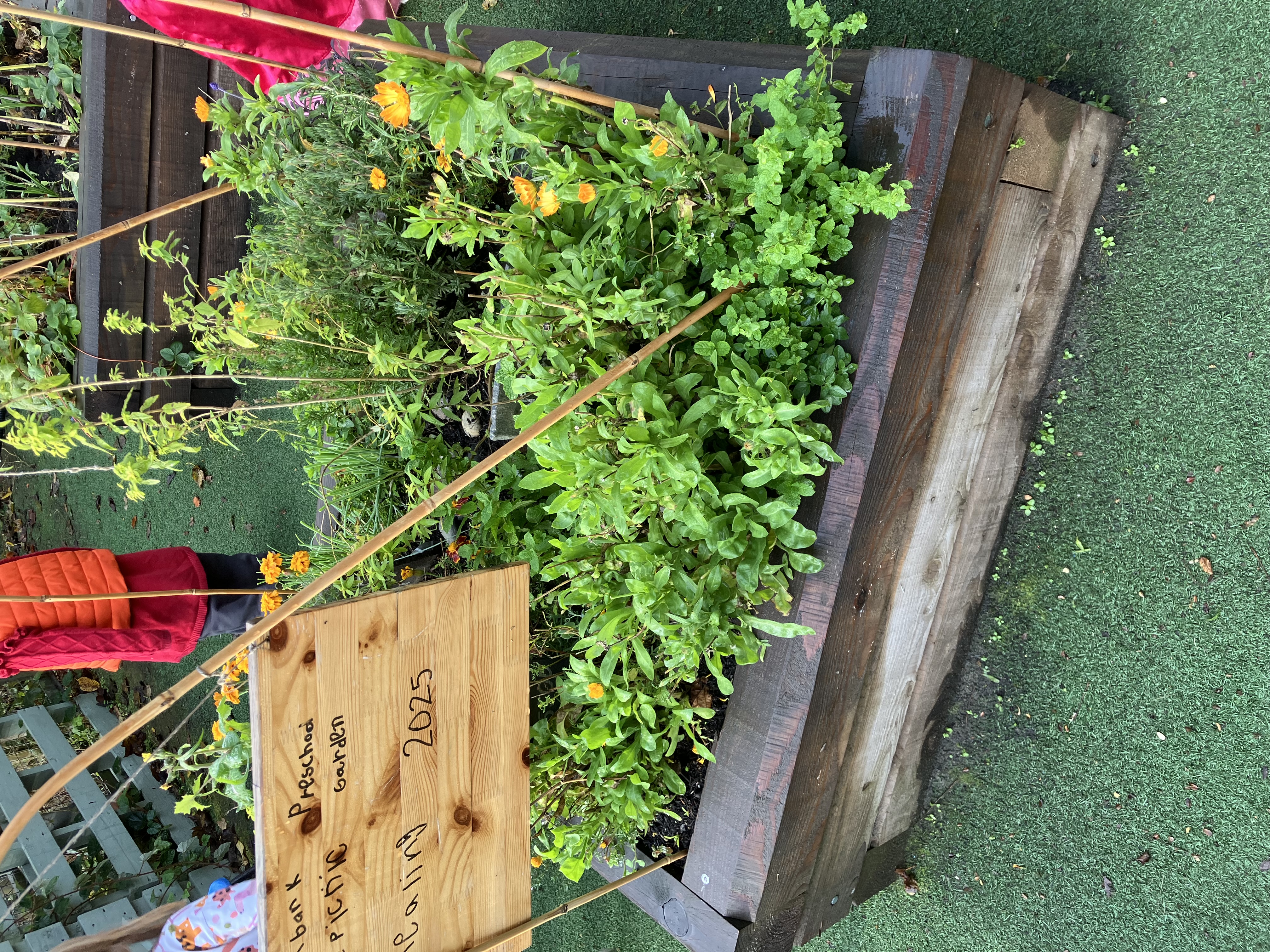 Greenbank Preschool pollinator garden with plants and flowers